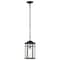 Nuvo Raiden Outdoor Hanging Lantern 1 Light Matte Black 60/5759 - alternate 2